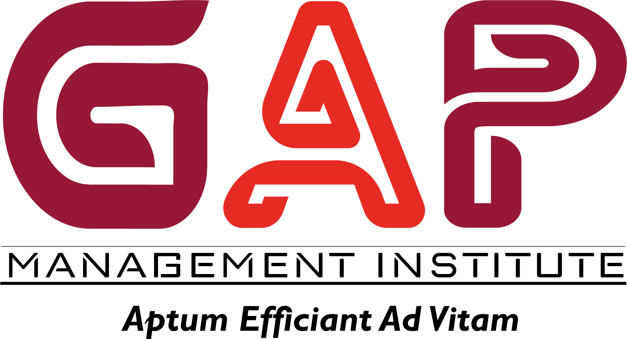 GAP MANAGEMENT INC visual data 2