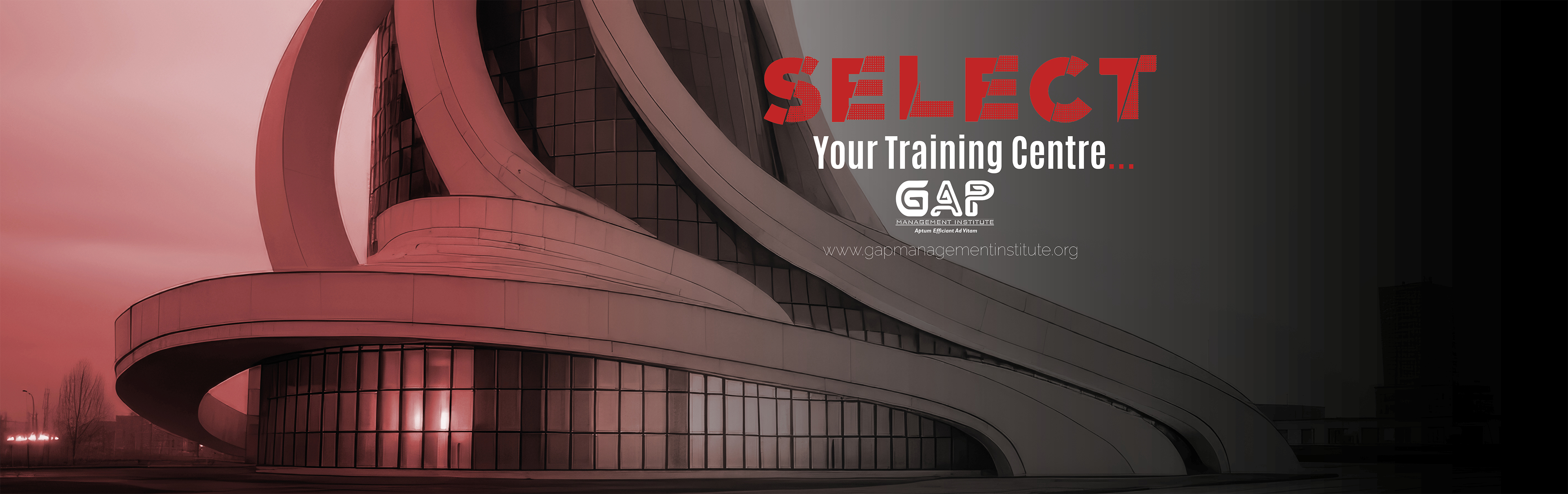 GAP MANAGEMENT INC visual data 3